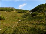Pod Krnico - Tolsta Košuta - eastern peak